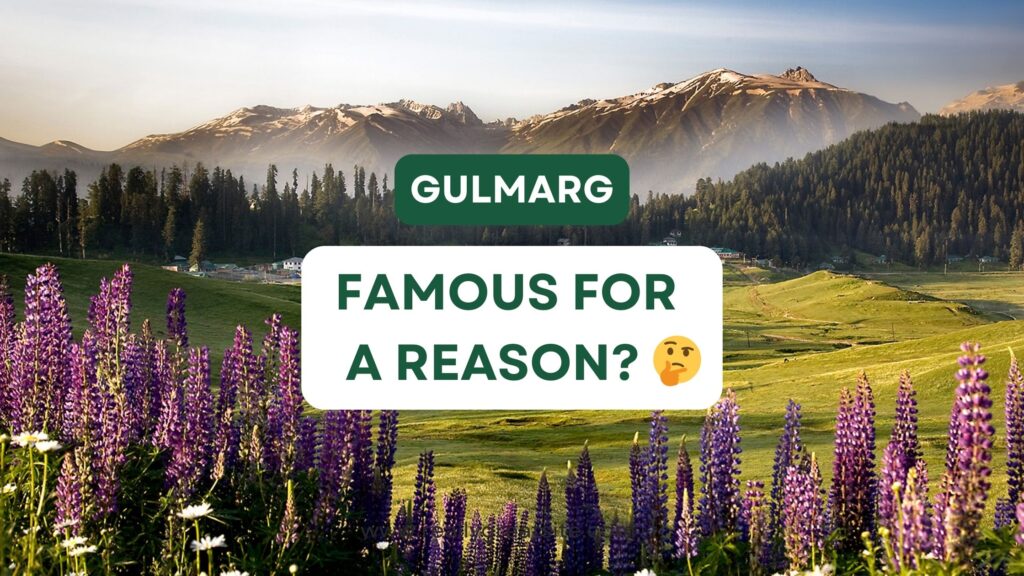 gulmarg guide roameoo