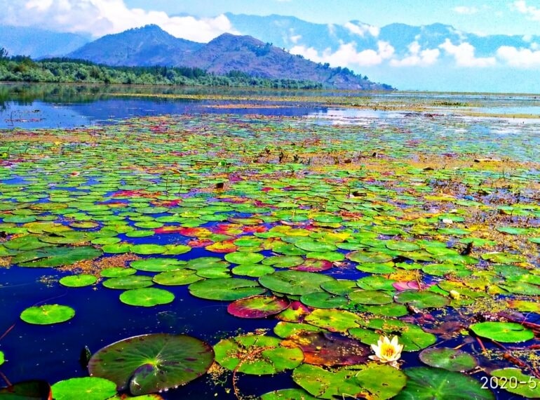 photo of wullar lake by roameoo travels