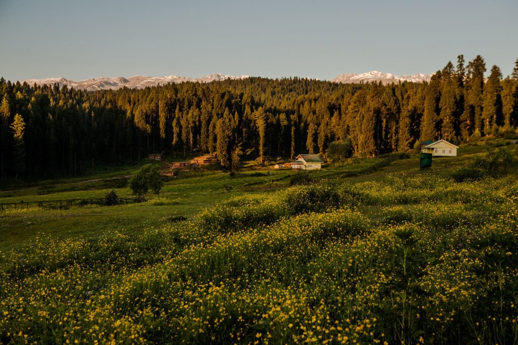 Yusmarg