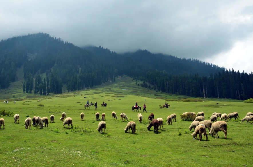 Doodhpathri Kashmir